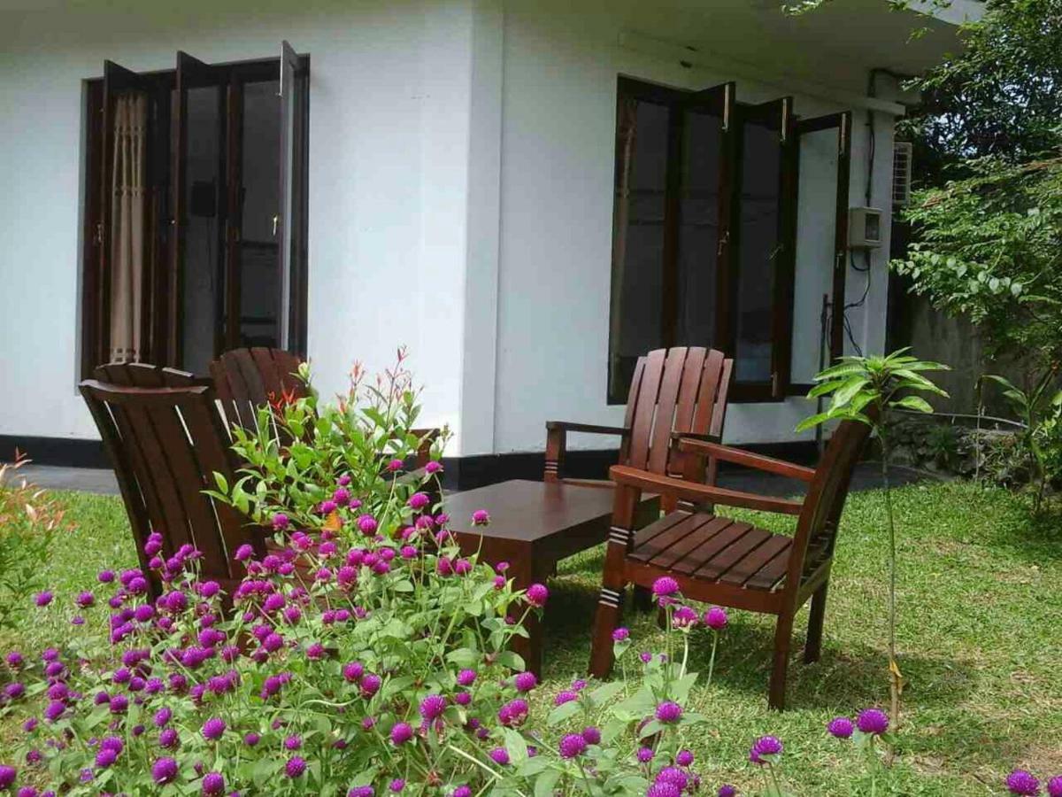 Villa Fiori Hikkaduwa Ngoại thất bức ảnh